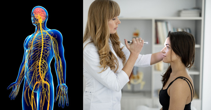 Chiropractic Neurology