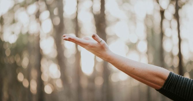 Chinese Medicine - Dr. Lee Funk