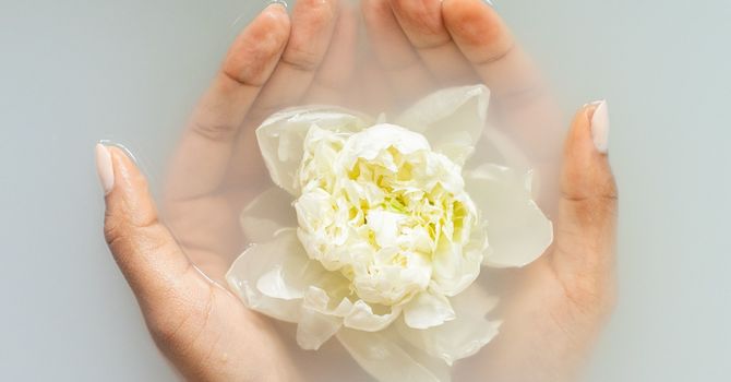 Chinese Medicine - Dr. Lee Funk